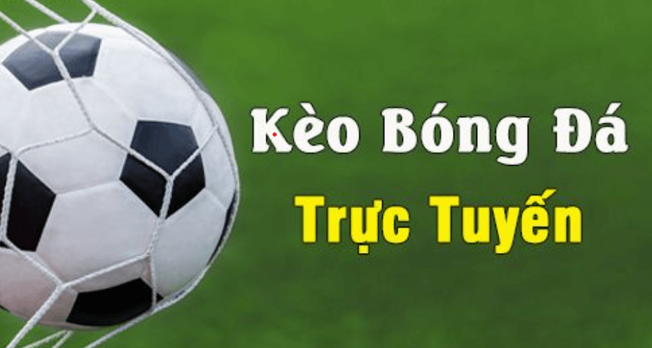 Đọc tỷ lệ kèo bóng đá trực tuyến: Kèo 0,5